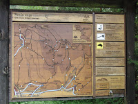 CIMG0267.JPG Photo