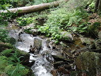 CIMG0282.JPG