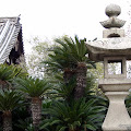 onomichi-48.JPG