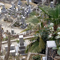 onomichi-21.JPG