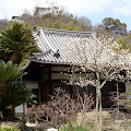 onomichi-33.JPG
