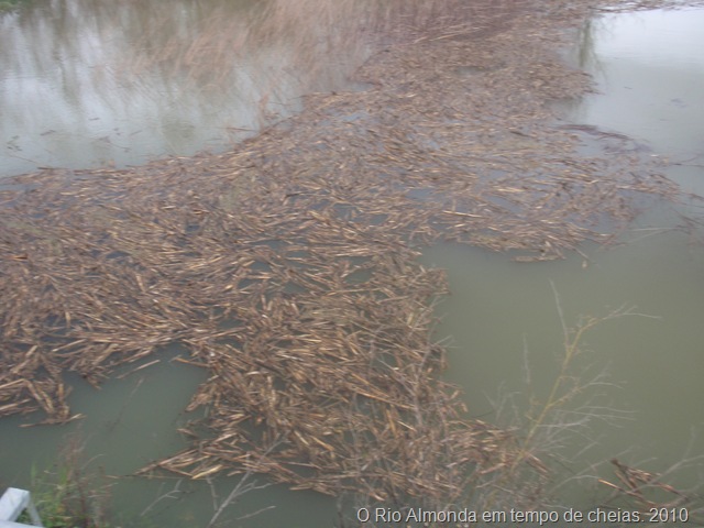 [cheias ribatejo 2009 025[6].jpg]