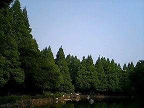 060624_1707~0001.jpg