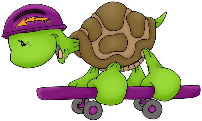 [Skateboard Turtle[3].jpg]