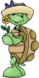 Turtle with Flower