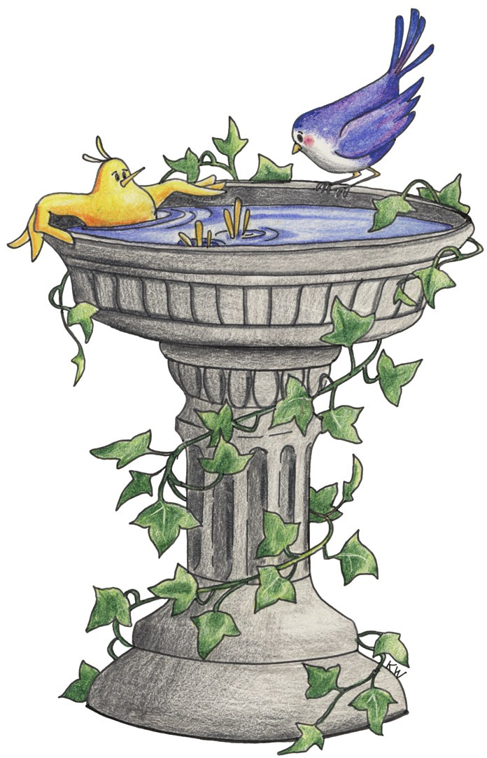 [Bird Bath[4].jpg]