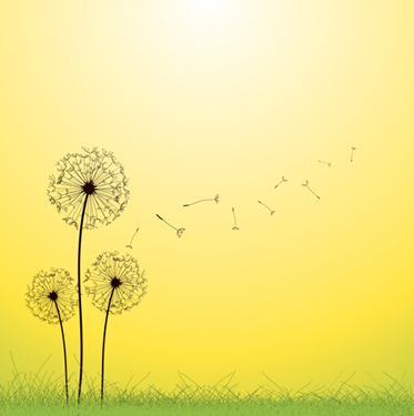 Dandelion fondo vector de diente de leon
