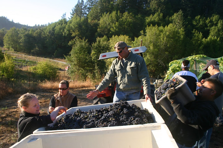 Megan, me and my husband Rod, sorting our Russian River Valley pinot noir at harvest