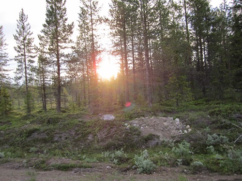 [IMG_00384.jpg]