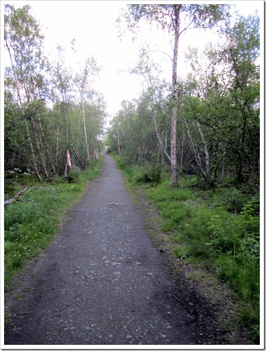 IMG_0540 IMG_0540