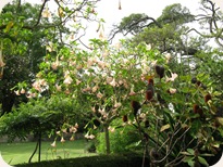 Botanical Gardens