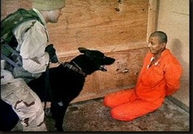 guantanamo-dog