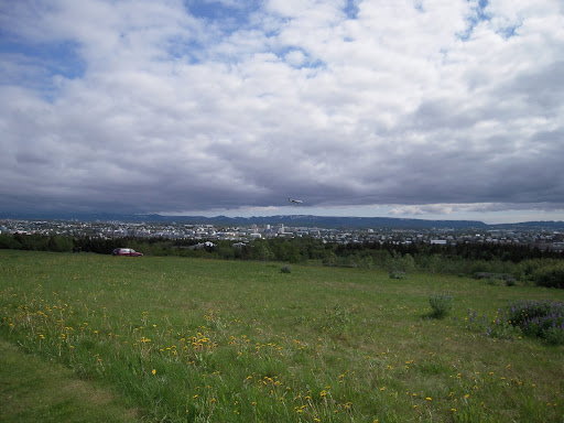 A plane begins landing at the airport. The approach path takes him right by the Perlan.