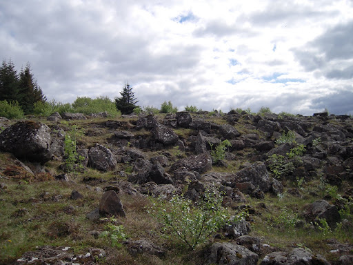 Icelandic hillside.