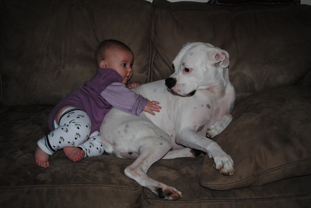 [DSC_0190[4].jpg]