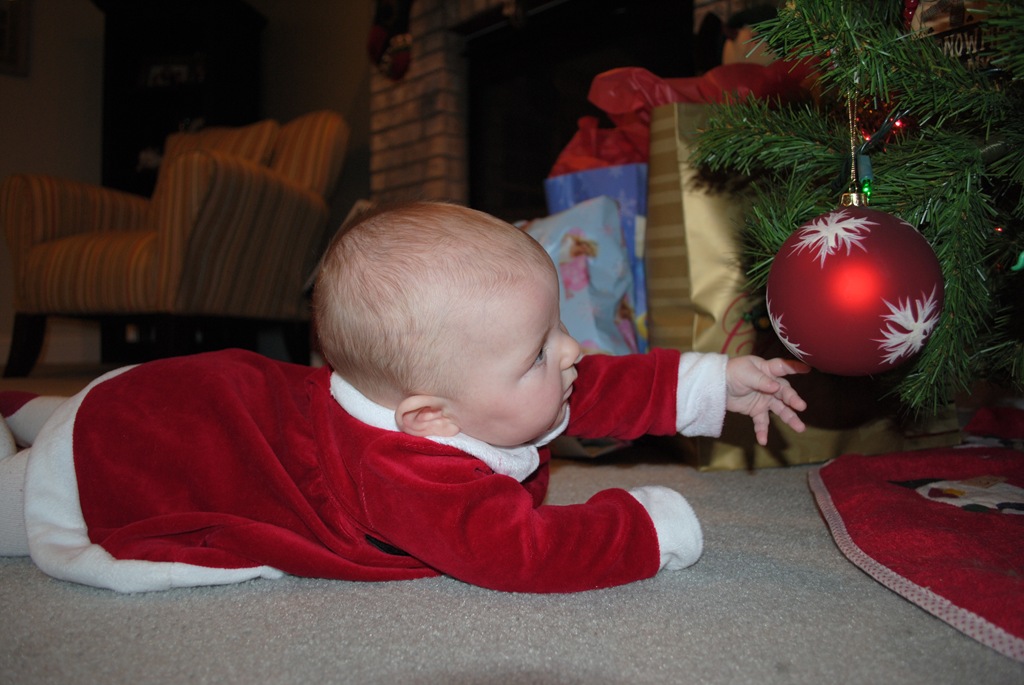 [DSC_0525[3].jpg]