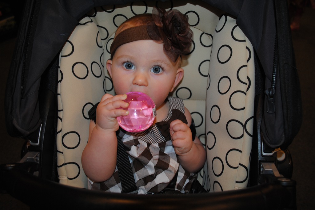 [DSC_0515[4].jpg]