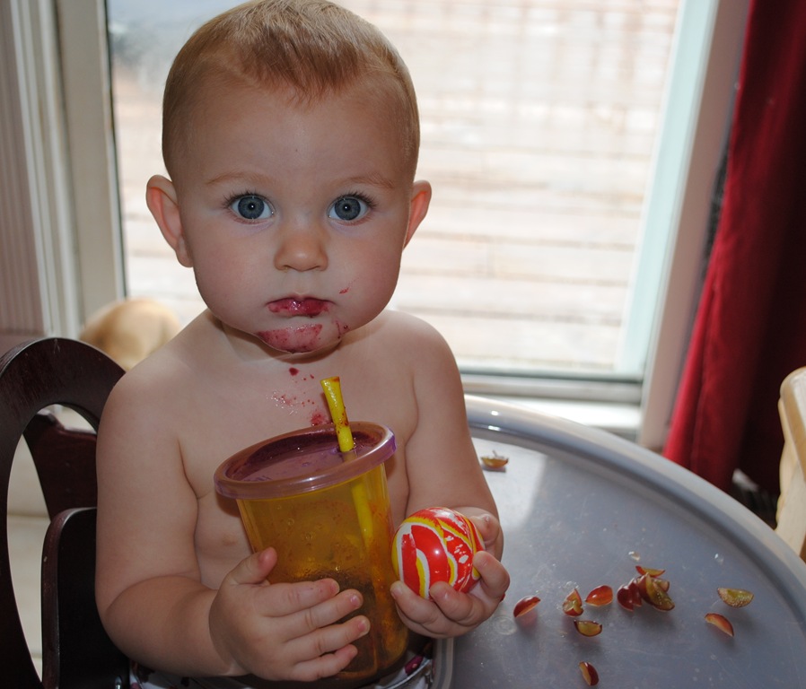 [DSC_0971[4].jpg]