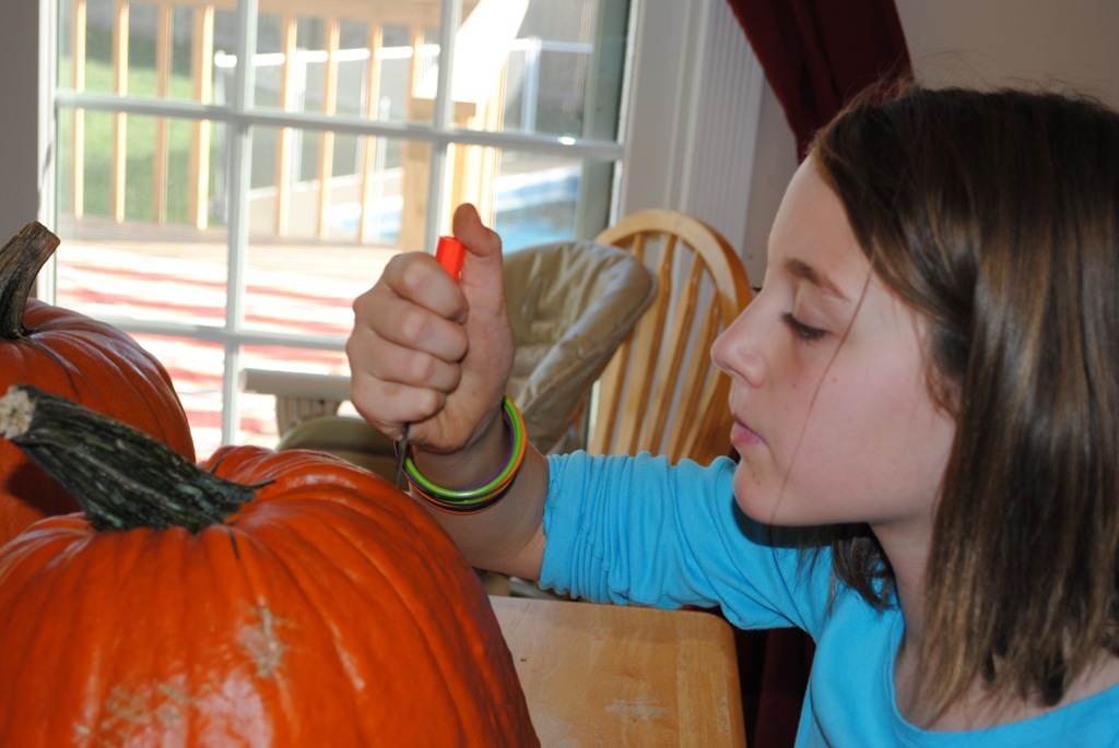 [DSC_0019[8].jpg]