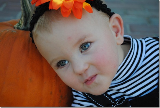 Ava pumkin
