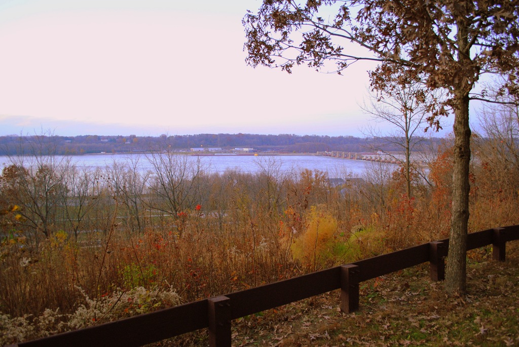 [DSC_0237[4].jpg]