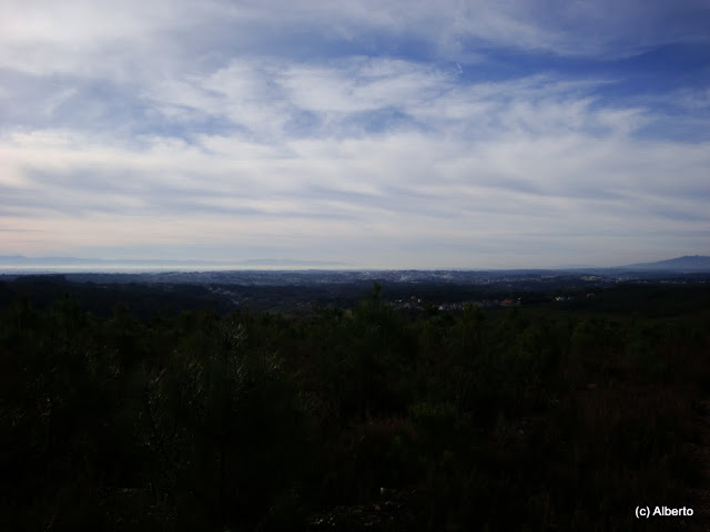 DSC05706.JPG