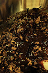 Blend choc mixture with smashed Rochers