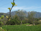 DSCF0562.JPG