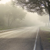 Mallorca_Nebelstrasse.jpg