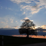 DSC_0200.jpg