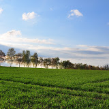 DSC_0175.jpg DSC_0175.jpg