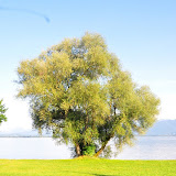 DSC_0418.jpg