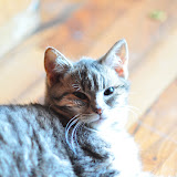 DSC_0102.JPG