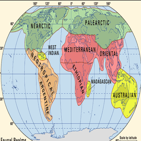 zoo-geography zoo-geography