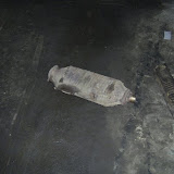 PIC_0559.JPG