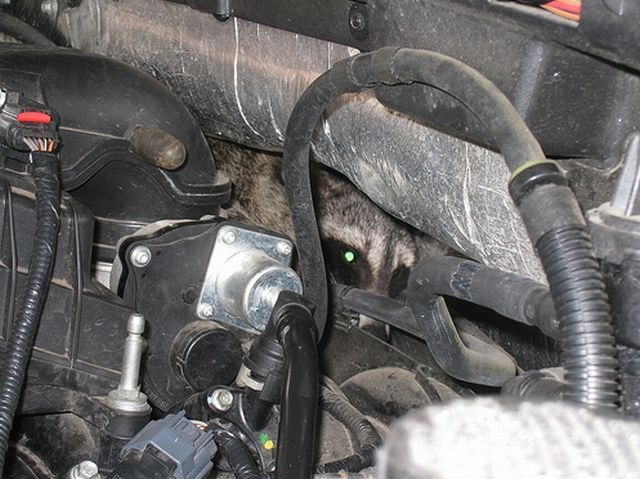 [surprise_in_car_063.jpg]