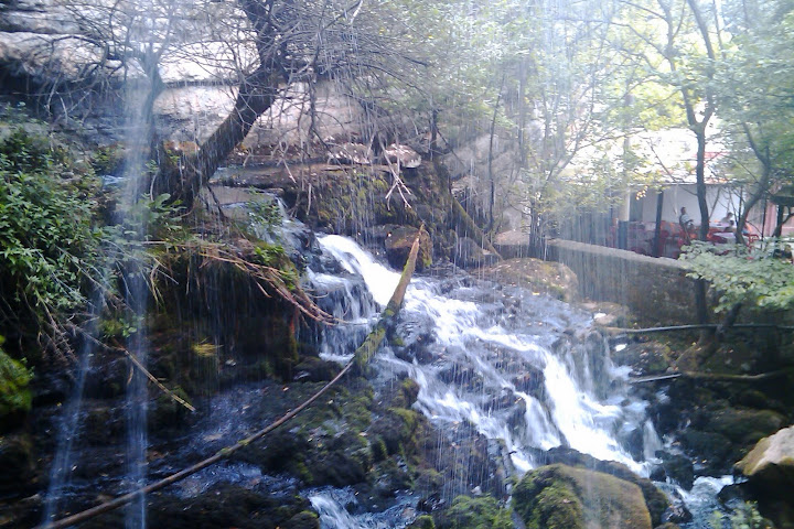 Лакатник