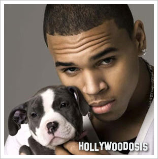 chris brown.jpg