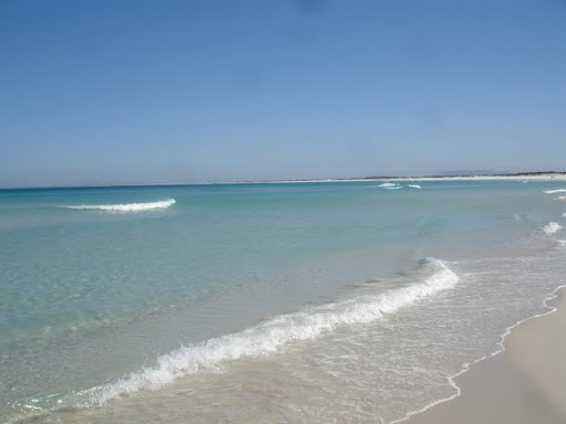 DSC05516.JPG