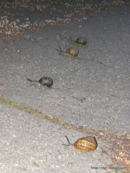 snails under way