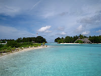 IMG_1558.jpg