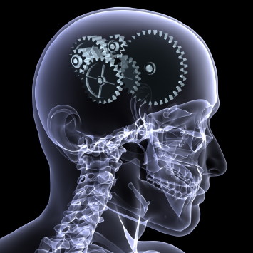 Curso de Asesor en Desarrollo Humano