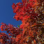 p1160457.jpg