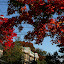 p1160481.jpg