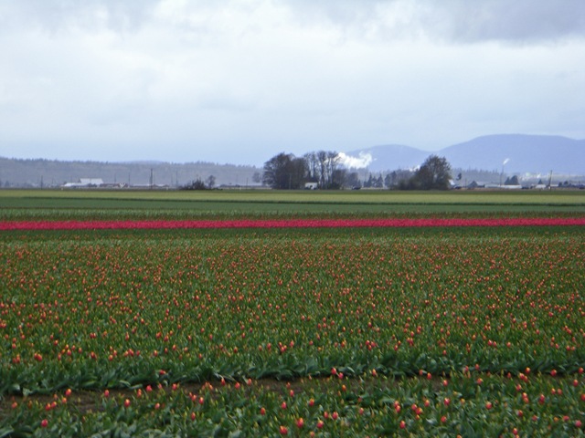 [CIMG7990_edited-1[4].jpg]