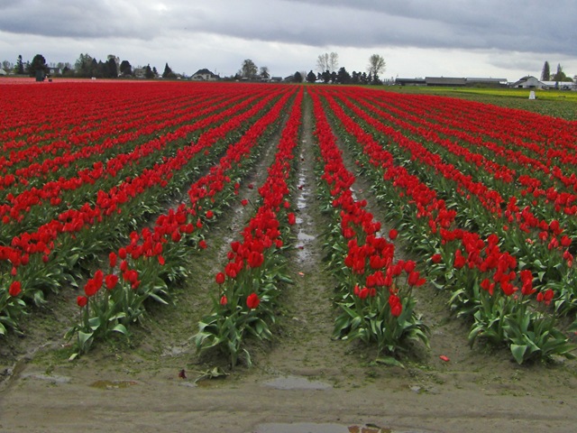 [CIMG7978_edited-1[4].jpg]