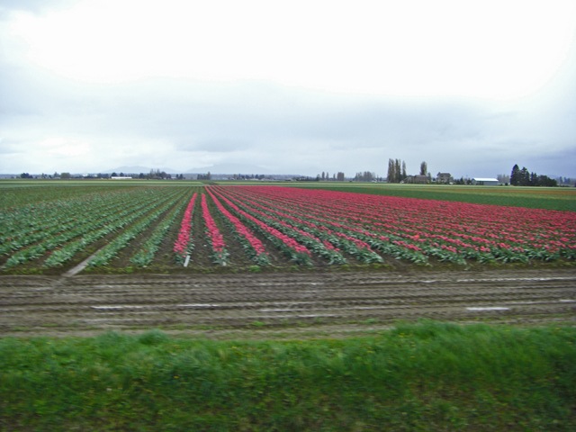 [CIMG7994_edited-1[5].jpg]