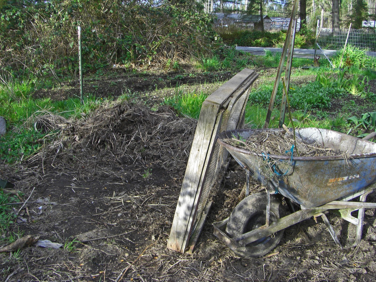 [CIMG8235_edited-1[3].jpg]