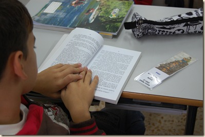 bibliotecas de aula (2)