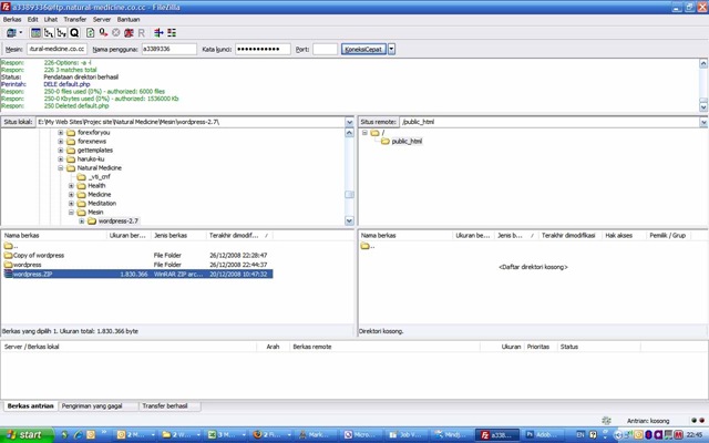 [filezilla3-upload[4].jpg]